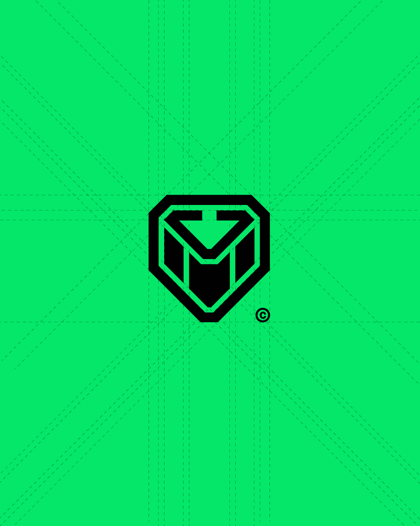 CyberGuards — case study visual 3
